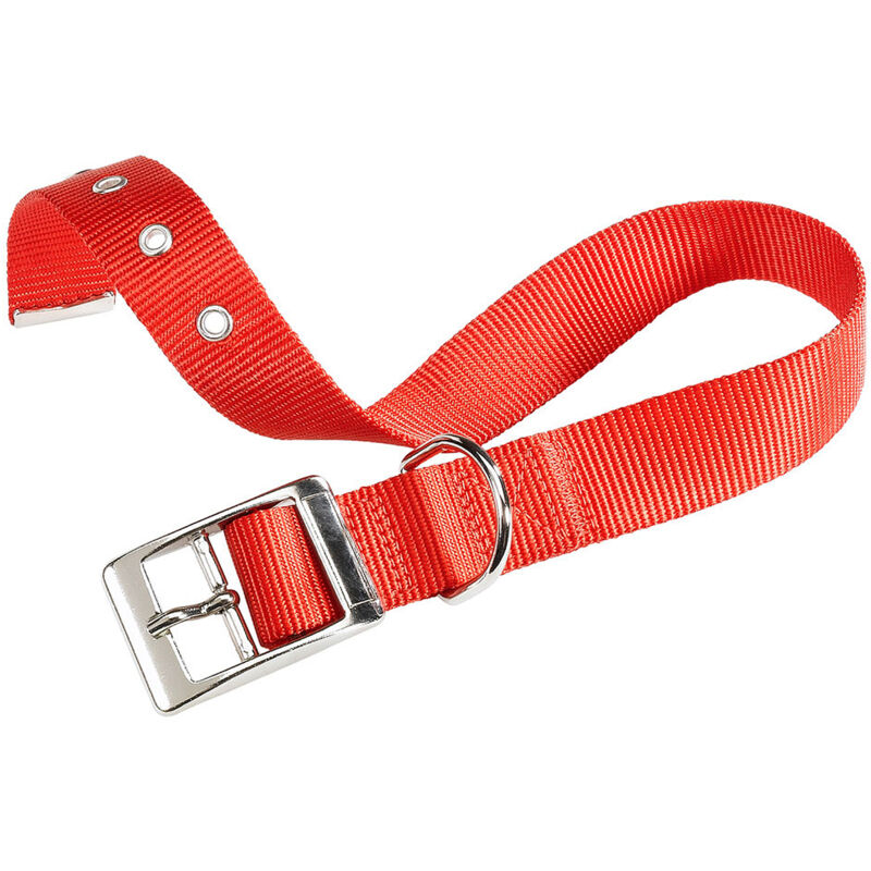 foto del prodotto ferplast club cf collare in nylon con fibbia di chiusura in metallo in vari colori e misure. variante cf20 43 misure a 35 43 cm b 20 mm