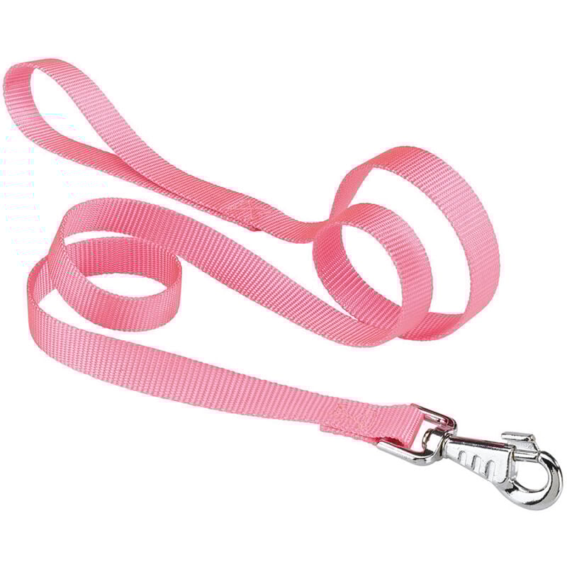 foto del prodotto ferplast club g guinzaglio in nylon per cani, in varie misure e colori. variante g20 120 misure 20 mm x l 120 cm rosa