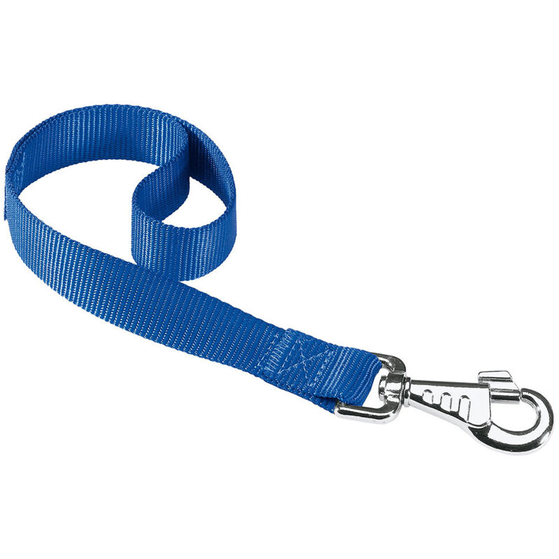 foto del prodotto ferplast - club gm guinzaglio corto per cani in nylon. variante - misure: 25 mm x l 45 cm - blu