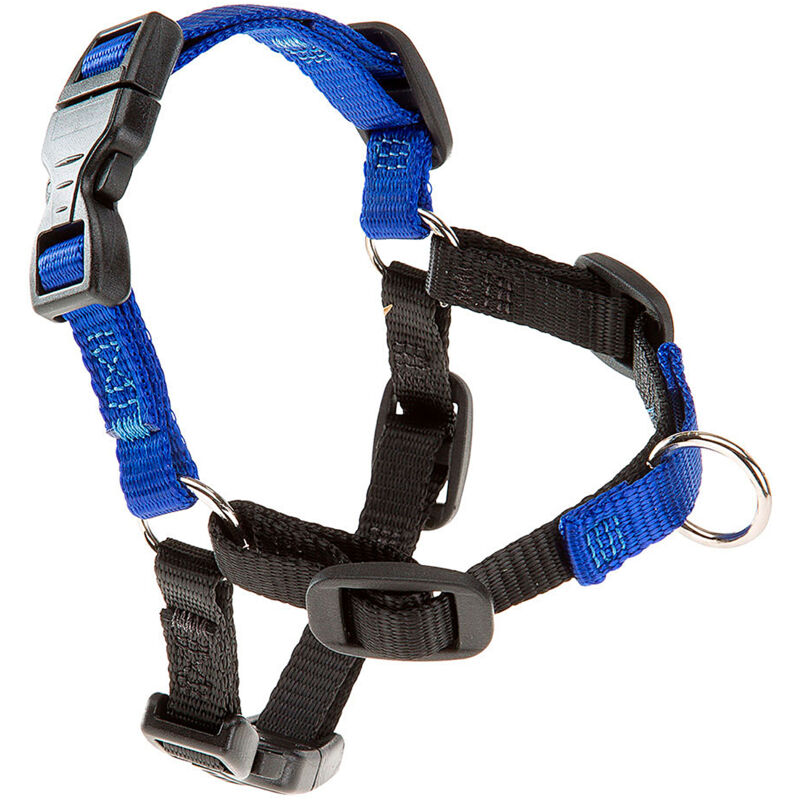 foto del prodotto ferplast coach p pettorina da addestramento per cani con sistema di aggancio anteriore. due colori.. variante m misure a 20 26 cm b 42 59 cm