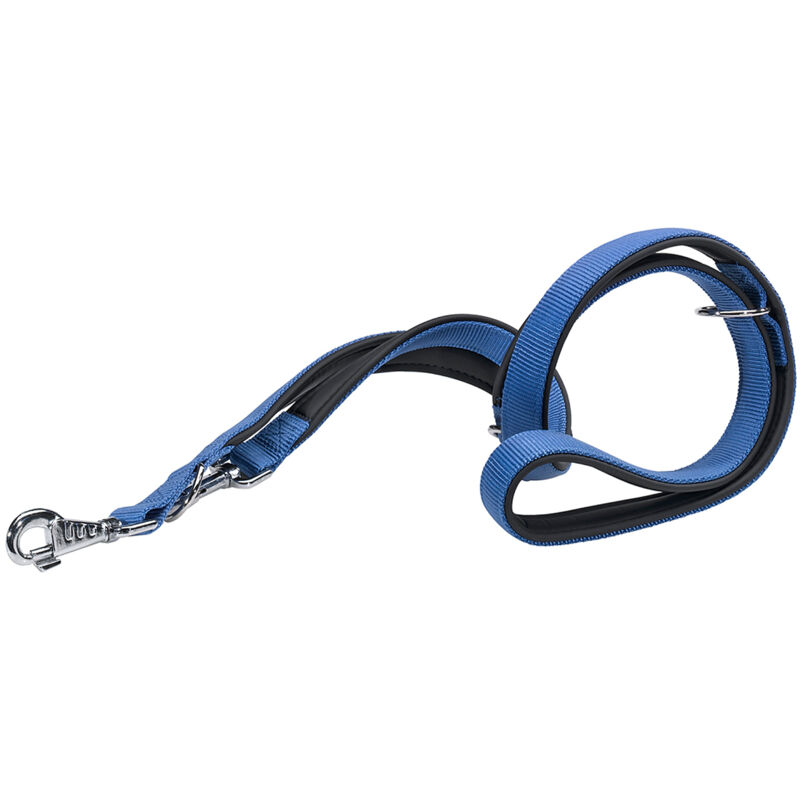 foto del prodotto ferplast daytona ga guinzaglio in nylon per l addestramento di cani. vari colori, 2 misure.. variante ga20 200 misure 20 mm x l 200 cm blu