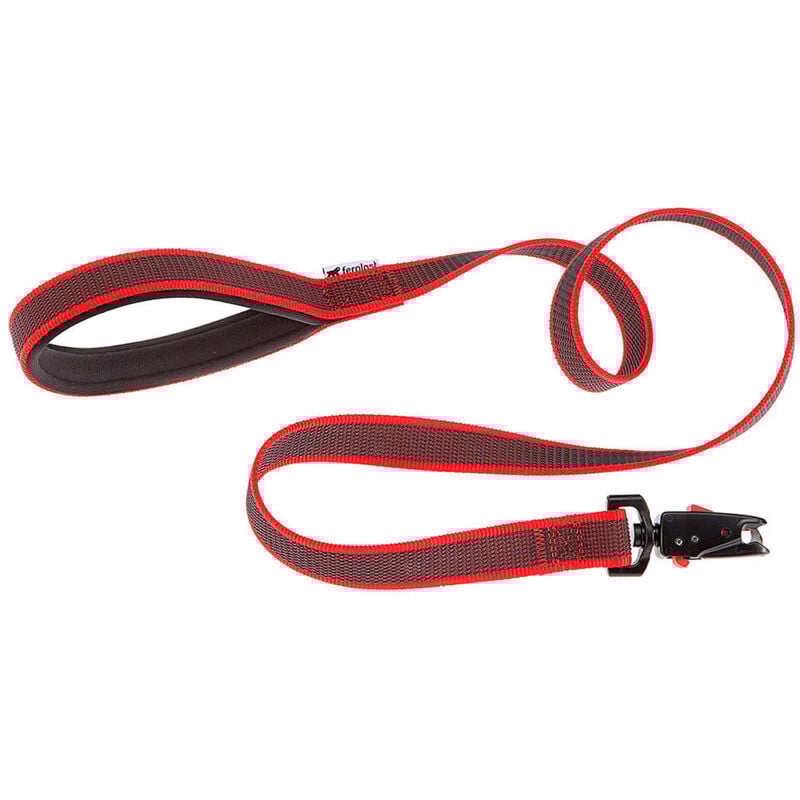 foto del prodotto ferplast daytona gummy matic g guinzaglio per cani con moschettone automatico. fettuccia in nylon e gomma. varie misure e colori.. variante g20 120