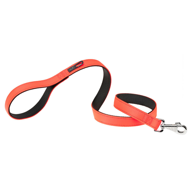 foto del prodotto ferplast dual g colours guinzaglio per cani in nylon, in 3 misure e 4 colori. variante g25 110 misure 25 mm x l 110 cm arancione