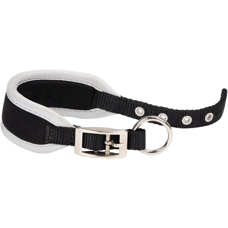 foto del prodotto ferplast ergocomfort cw collare imbottito per levrieri. varie misure. . variante cw15 32 misure a 26 32 cm b 15 mm nero