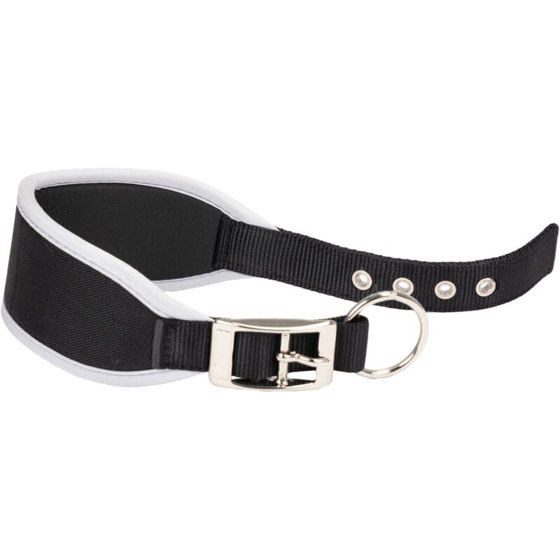 foto del prodotto ferplast ergocomfort cw collare imbottito per levrieri. varie misure. . variante cw25 46 misure a 40 46 cm b 25 mm nero