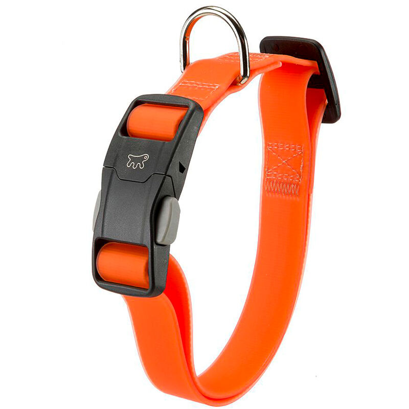 foto del prodotto ferplast evolution c collare in poliestere e pvc per cani dotato di fibbia magnetica. vari colori e misure.. variante c16 44 misure a 30 44 cm