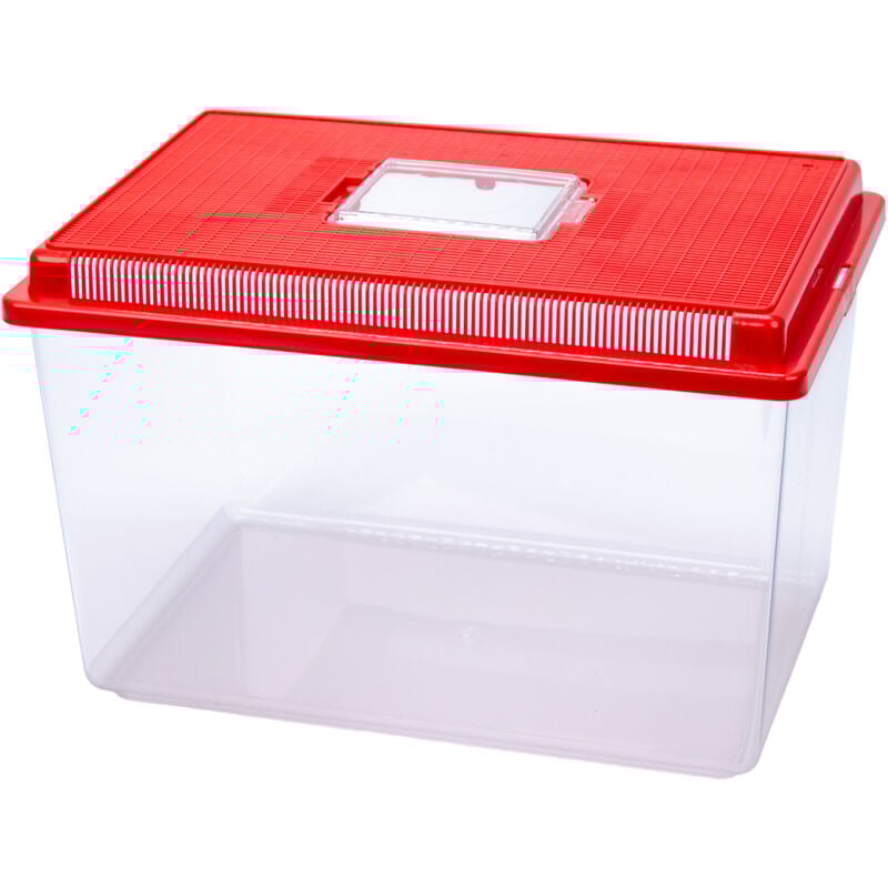foto del prodotto ferplast geo contenitore per piccoli animali, pesci, tartarughe e insetti. variante extra large misure 35.6 x 23.4 x h 22.8 cm 11 l rosso