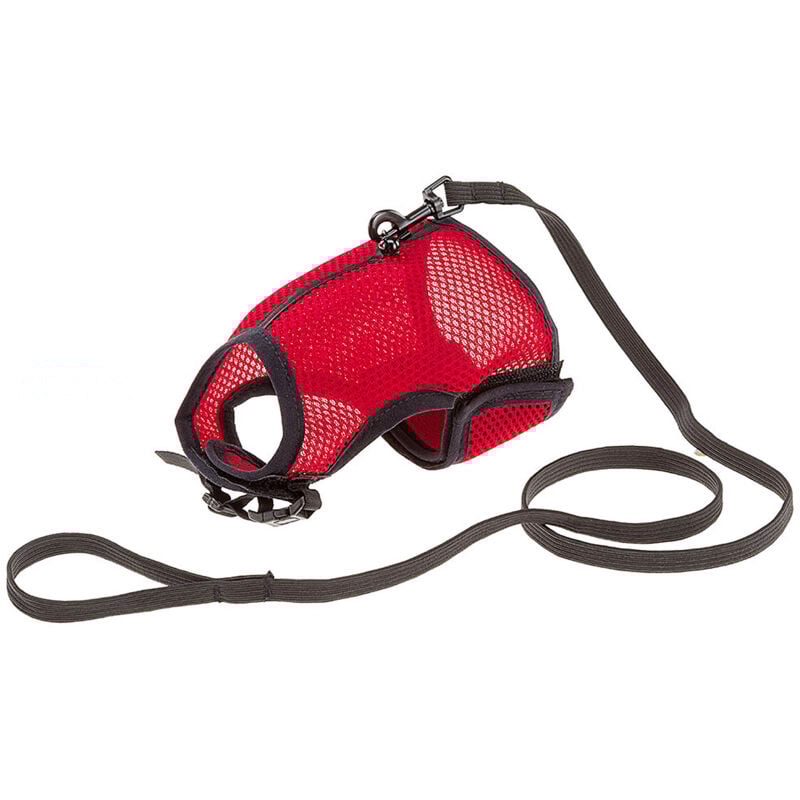 foto del prodotto ferplast jogging xl pettorina in nylon per gatti con guinzaglio . variante jogging xl misure a 24 28 cm b 30 38 cm 10 mm colori misti