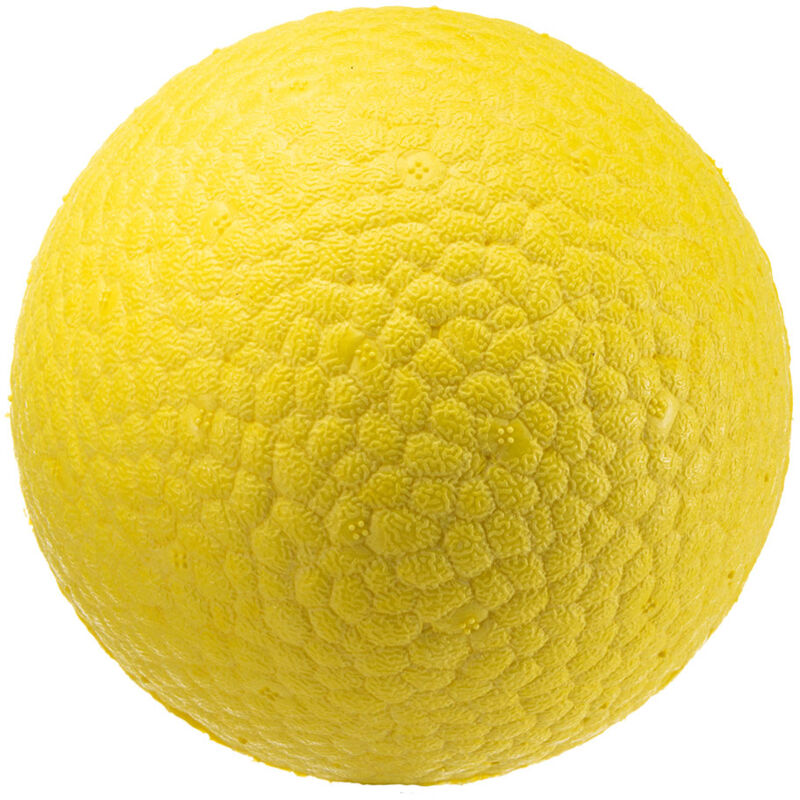 foto del prodotto ferplast . variante l misure 8 cm giallo