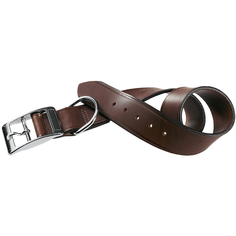 foto del prodotto ferplast vip c collare per cani in cuoio di toro 8 misure. variante c15 27 misure a 22 27 cm b 15 mm marrone