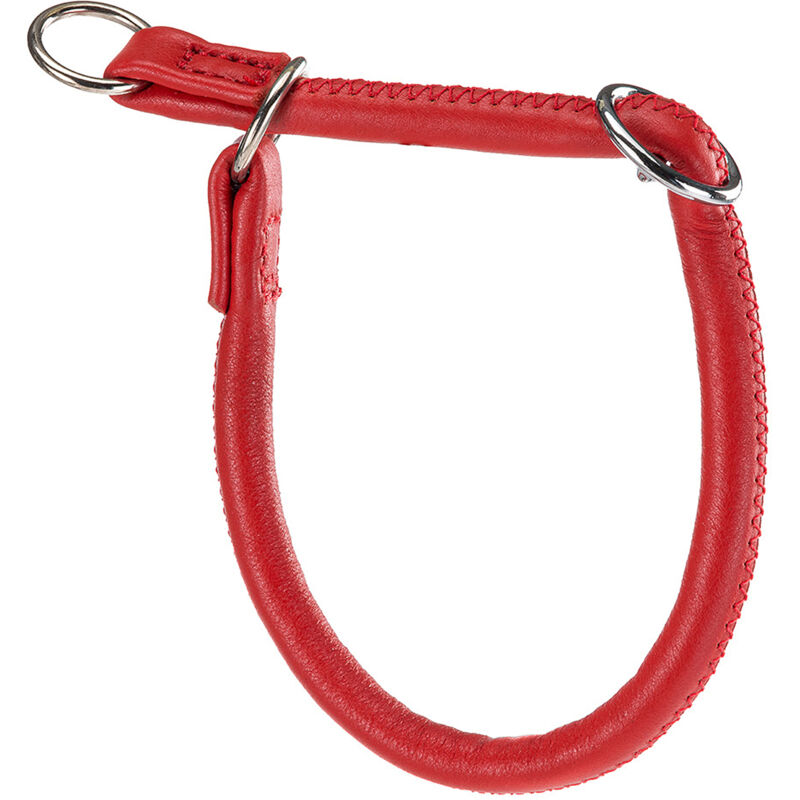 foto del prodotto ferplast vogue cs collare a semistrangolo in pelle per cani. variante 10 40 misure a 40 cm b 10 mm rosso