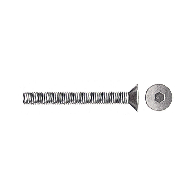 foto del prodotto ferramenta1.com viti t.s.p. brunite esagono incassato 6x40. prezzo per 1 pezzo.