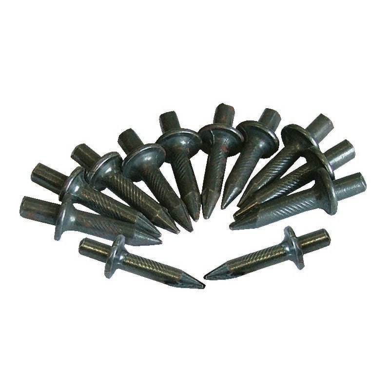 foto del prodotto ferrari srl chiodi per percussore 4x8x19mm confezione da 200 pz. idrhaus