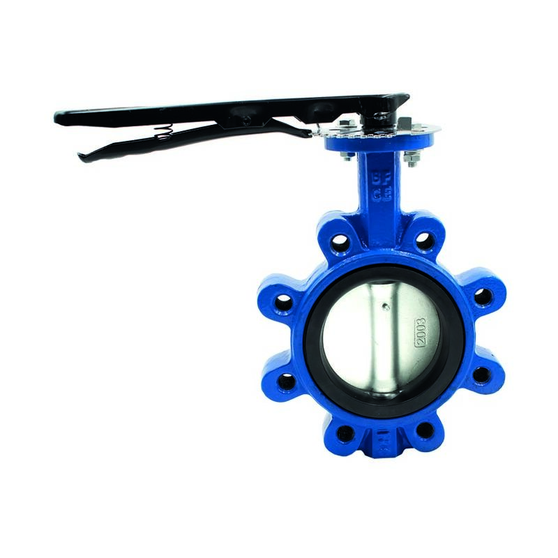 foto del prodotto ferrari srl - valvola a farfalla lug per acqua con asole filettate dn100