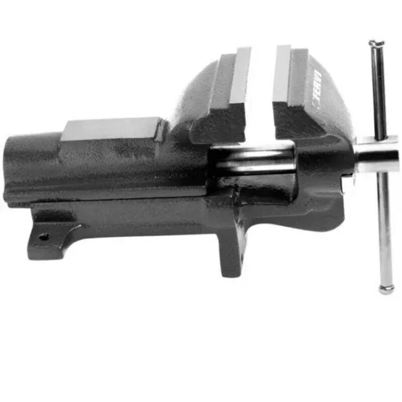 foto del prodotto fervi 0427 125 morsa parallela da banco sferoidale 125 mm