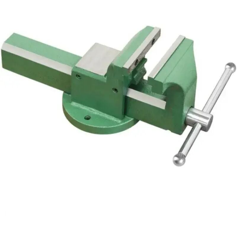 foto del prodotto fervi 0591 125 morsa in acciaio 130 mm con stringitubo