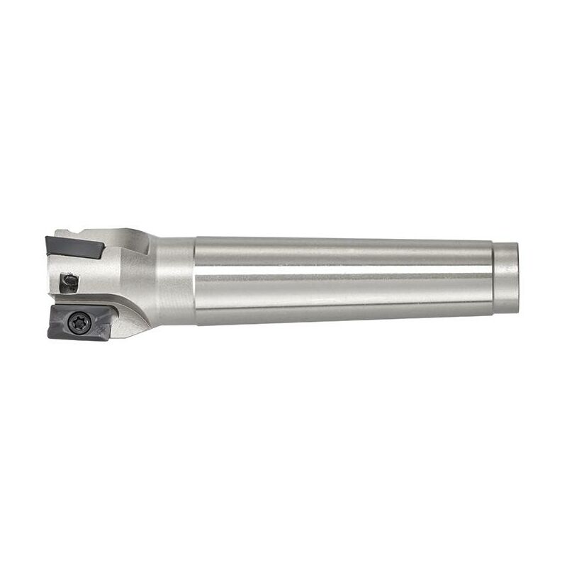 foto del prodotto fervi fresa a inserto 32 mm x fresatrice f301 32cm4