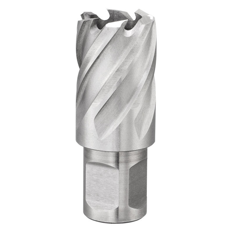 foto del prodotto fervi fresa a tazza con attacco weldon 22 mm f011 22