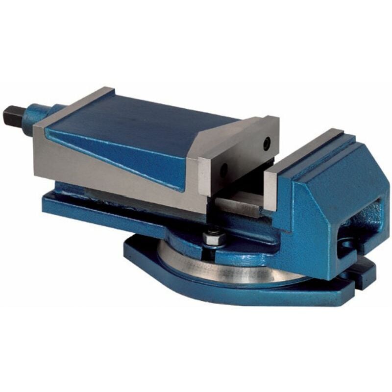 foto del prodotto fervi m023 125 morsa a macchina 100 mm con base girevole