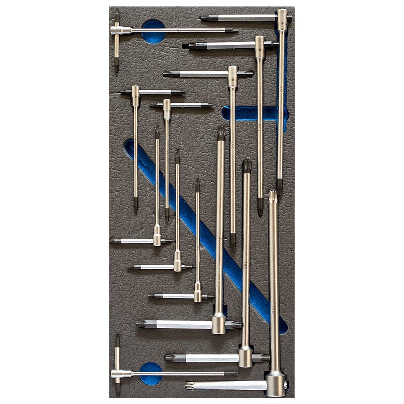 foto del prodotto fervi serie 13 chiavi torx a t t6 t50 in termoformato morbido tm01 009