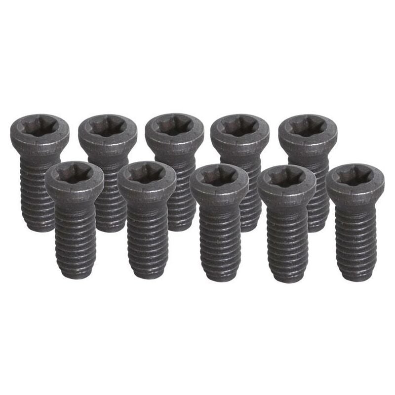 foto del prodotto fervi set 10 viti torx t8 m2,5 kv250 per utensile fresa tornio