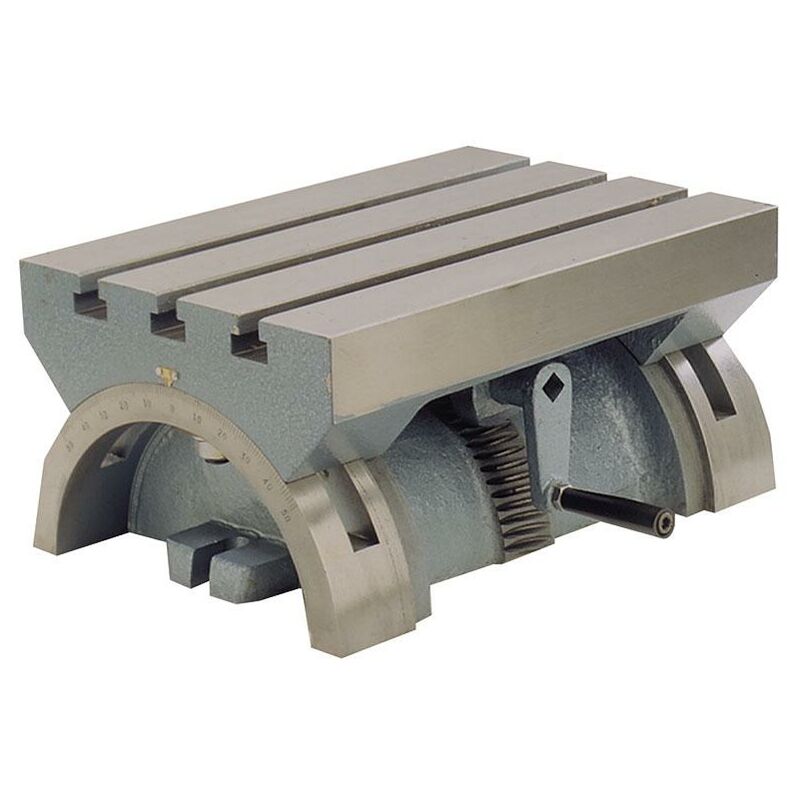 foto del prodotto fervi tavola basculante x fresatrice 255 x 180 x 135 mm t004 250
