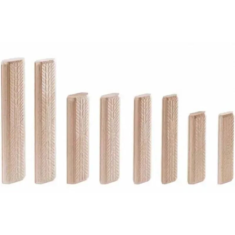 foto del prodotto festool 498215 tasselli domino faggio d 10x100 120 bu