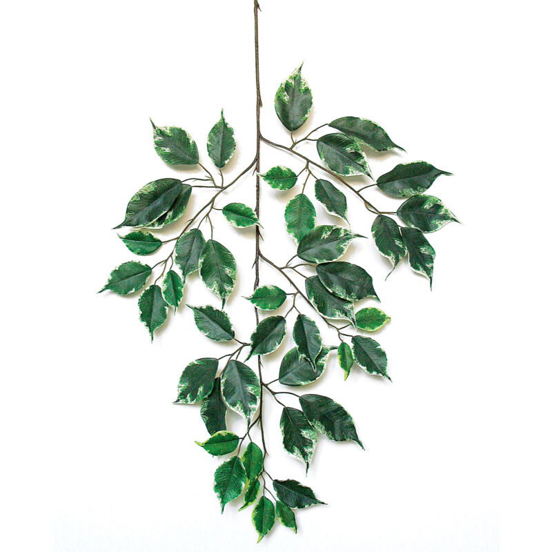 foto del prodotto ficus elegance ramo artificiale con 44 foglie variegato h cm 80