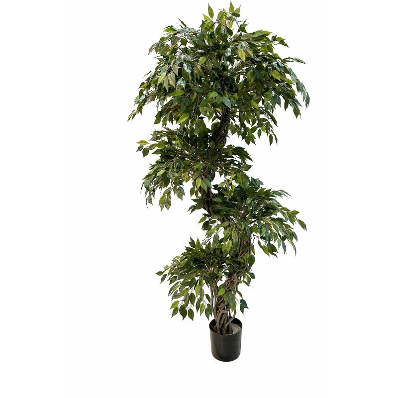 foto del prodotto ficus mini seminaturale verde tronco liana h. 180 cm