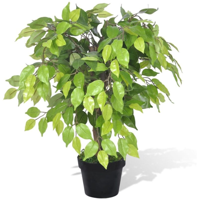 foto del prodotto ficus nano artificiale con vaso 60 cm