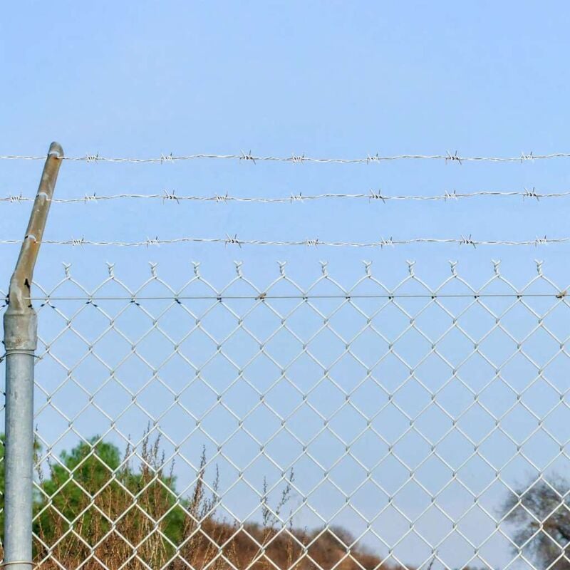 foto del prodotto filo spinato galvanizzato per recinzioni metalliche, recinti