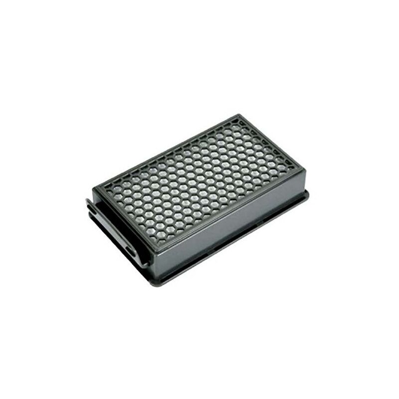 foto del prodotto filtre powerline extreme pour aspirateur rowenta moulinex