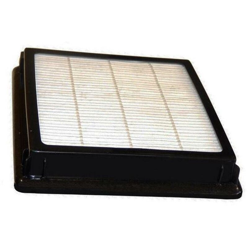 foto del prodotto filtro 13 completo - aspirapolvere nilfisk 1591193662894268484