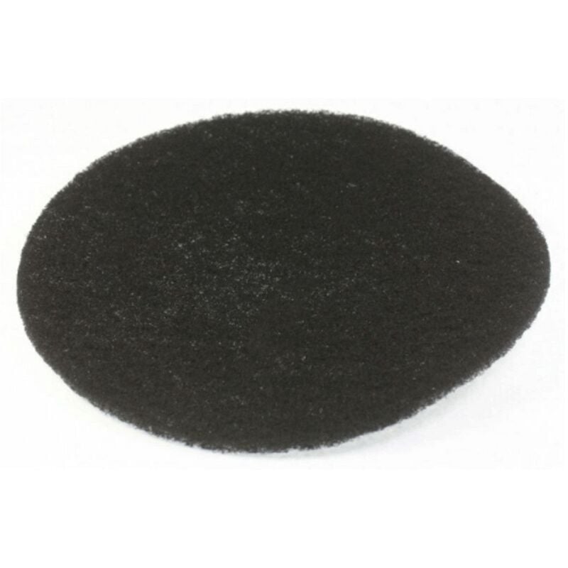 foto del prodotto filtro a carbone friggitrice de longhi 4347278
