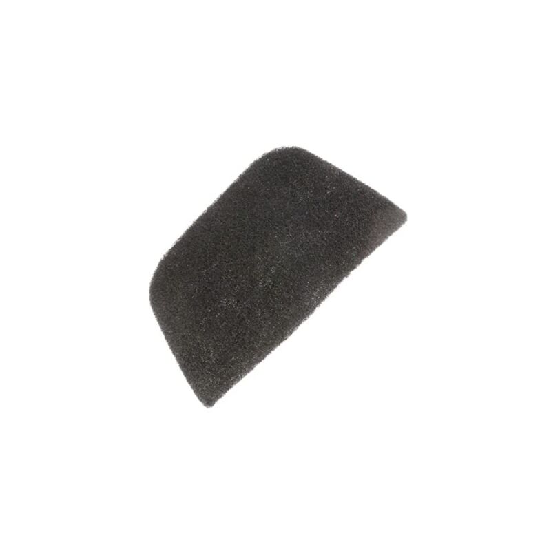 foto del prodotto filtro a carbone friggitrice delonghi 143881