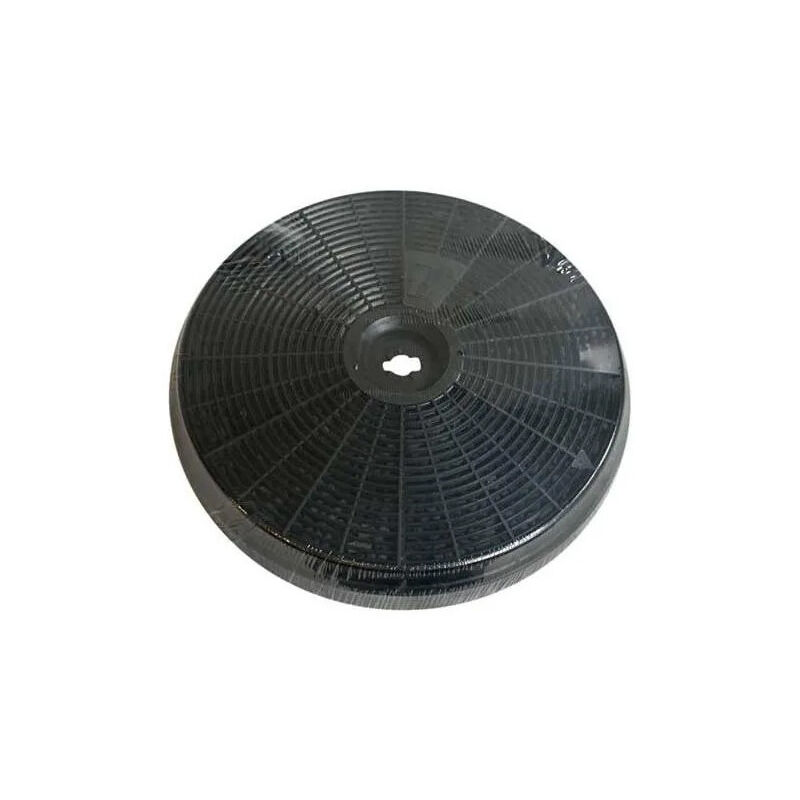 foto del prodotto filtro a carbone per cappe bosch e siemens .200 mm