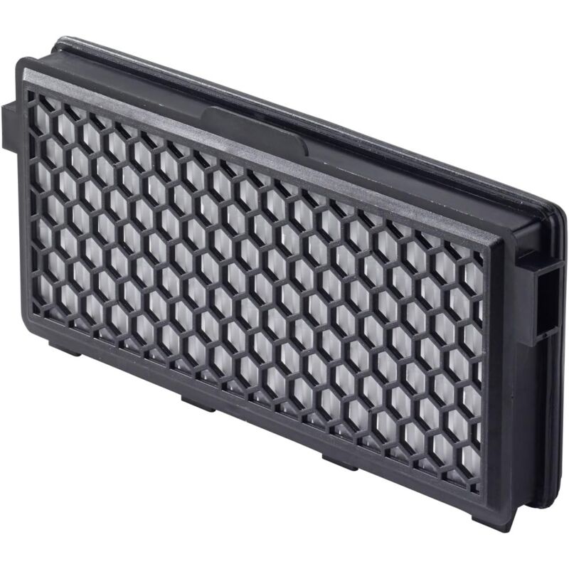foto del prodotto filtro active airclean sf aa 50 per miele c3 ecoline plus