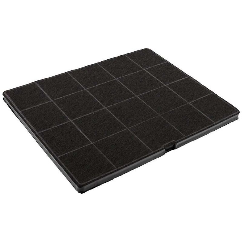 foto del prodotto filtro al carbone electrolux 9029798767 ecfb01