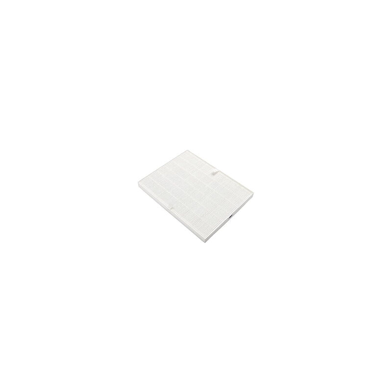 foto del prodotto filtro allergico lavabile per purificatore d aria electrolux 9001660415