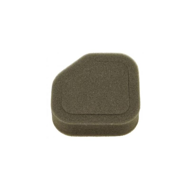 foto del prodotto filtro aria compatibile con soffiatore homelite ut08514 ut08544