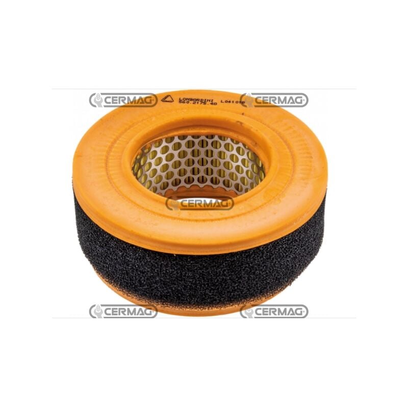 foto del prodotto filtro aria motore macchina agricola lombardini 9ld560 2 9ld561 2