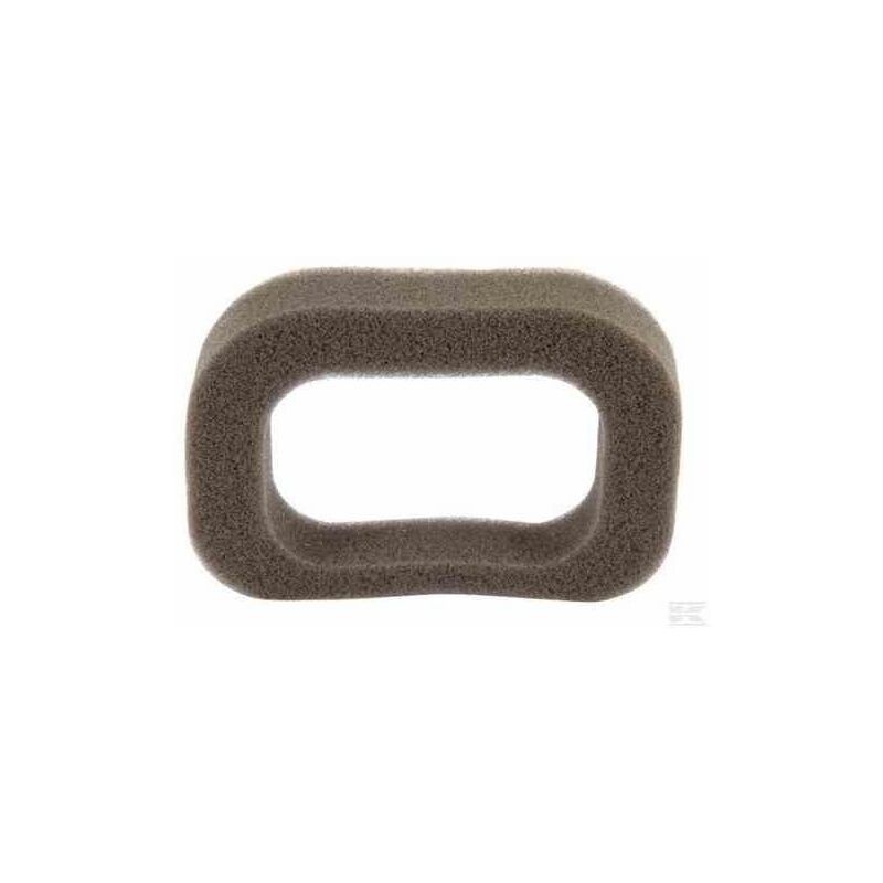foto del prodotto filtro aria motore tagliaerba rasaerba rv100 ggp stiga 118550704 0 310545