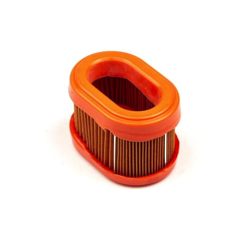 foto del prodotto filtro aria originale tagliaerba rasaerba briggs stratton 790166 698867