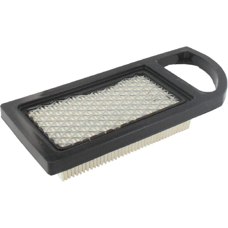 foto del prodotto filtro aria per tosaerba briggs stratton 21a900 21b900 sostituisce gli originali 004213, 613022, 695643, 697152, 697775, 698143, 698413,