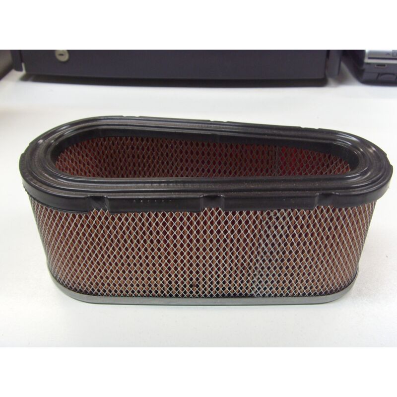 foto del prodotto filtro aria trattorino tagliaerba 12-15hp briggs &amp; stratton originale 496894