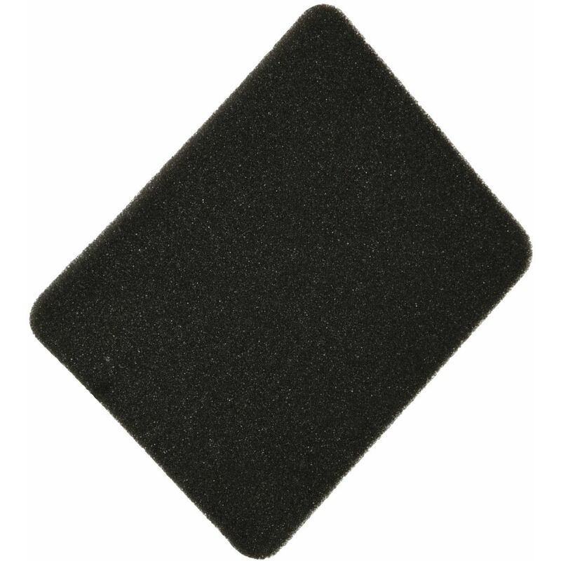 foto del prodotto filtro - aspirapolvere philips 317899