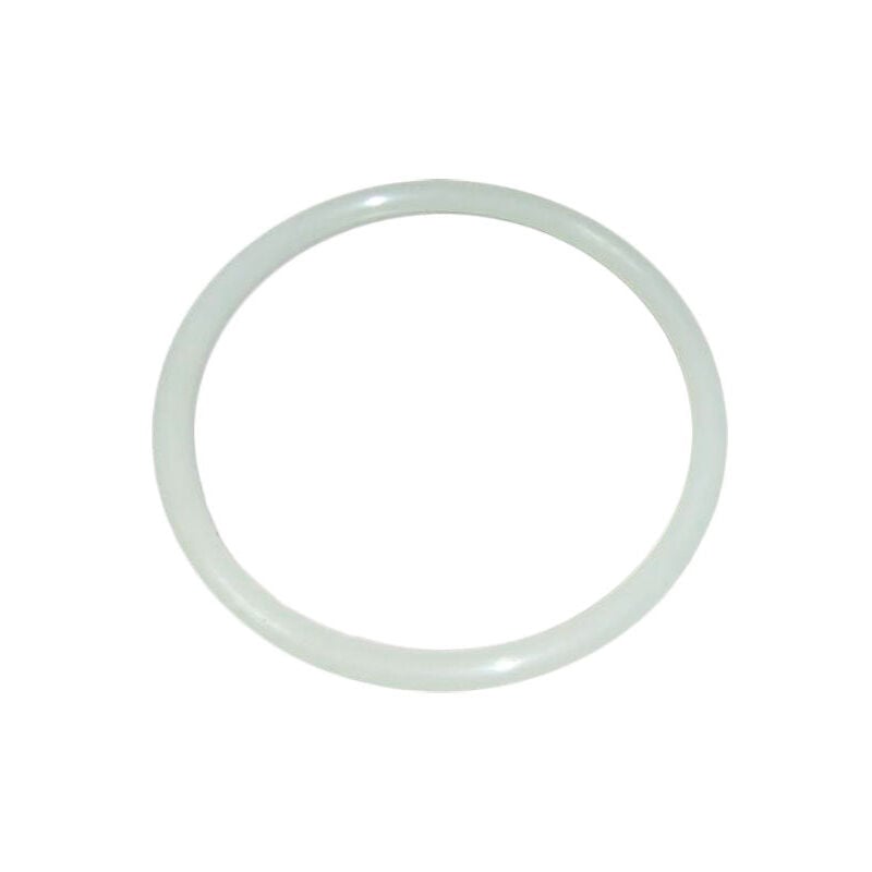 foto del prodotto filtro coperchio astralpool