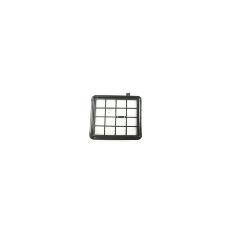 foto del prodotto filtro hepa aspirapolvere electrolux 338166
