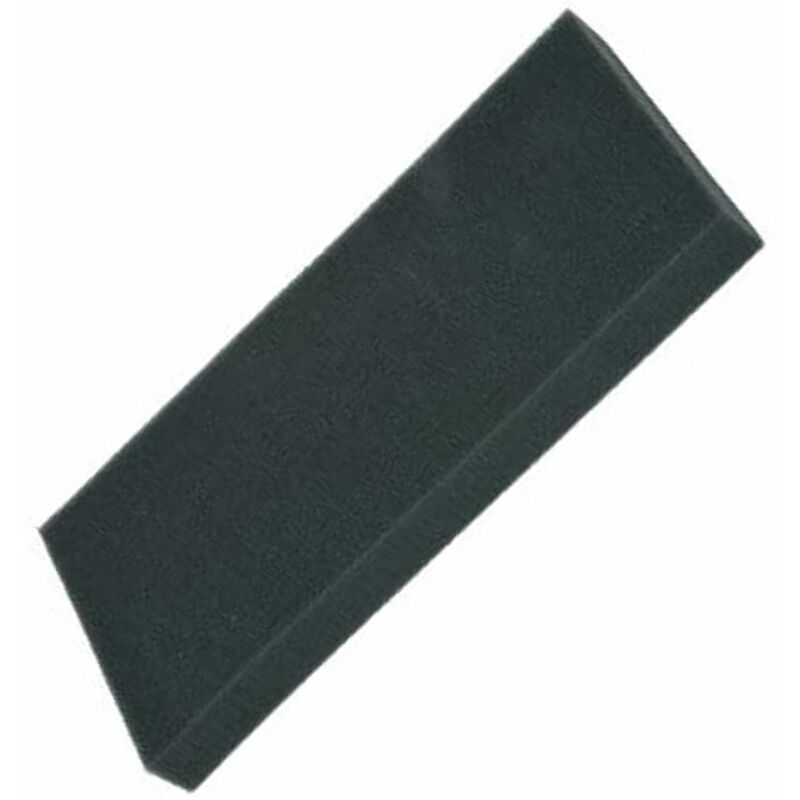 foto del prodotto filtro in schiuma aspirapolvere rowenta 330550