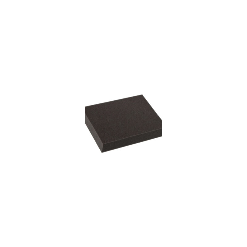 foto del prodotto filtro in schiuma per aspirapolvere 1184255014 electrolux